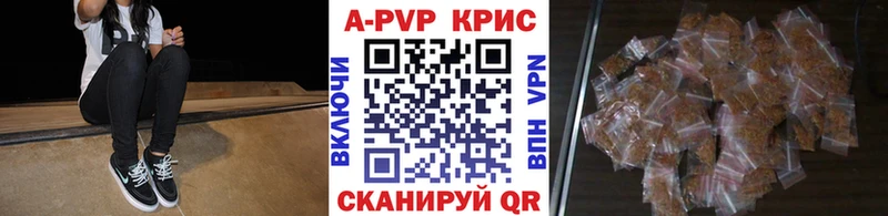 A PVP СК  Новая Ладога 