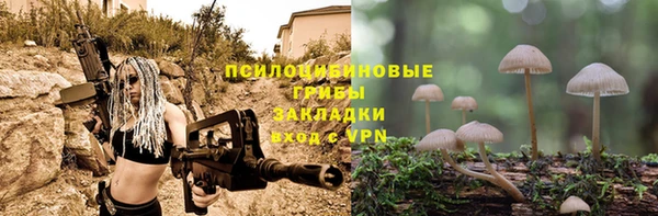 спиды Лиски